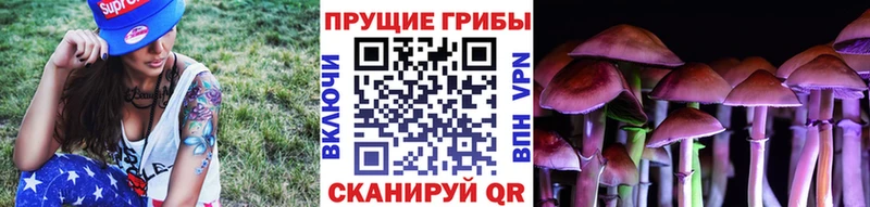 Псилоцибиновые грибы прущие грибы  Весьегонск 